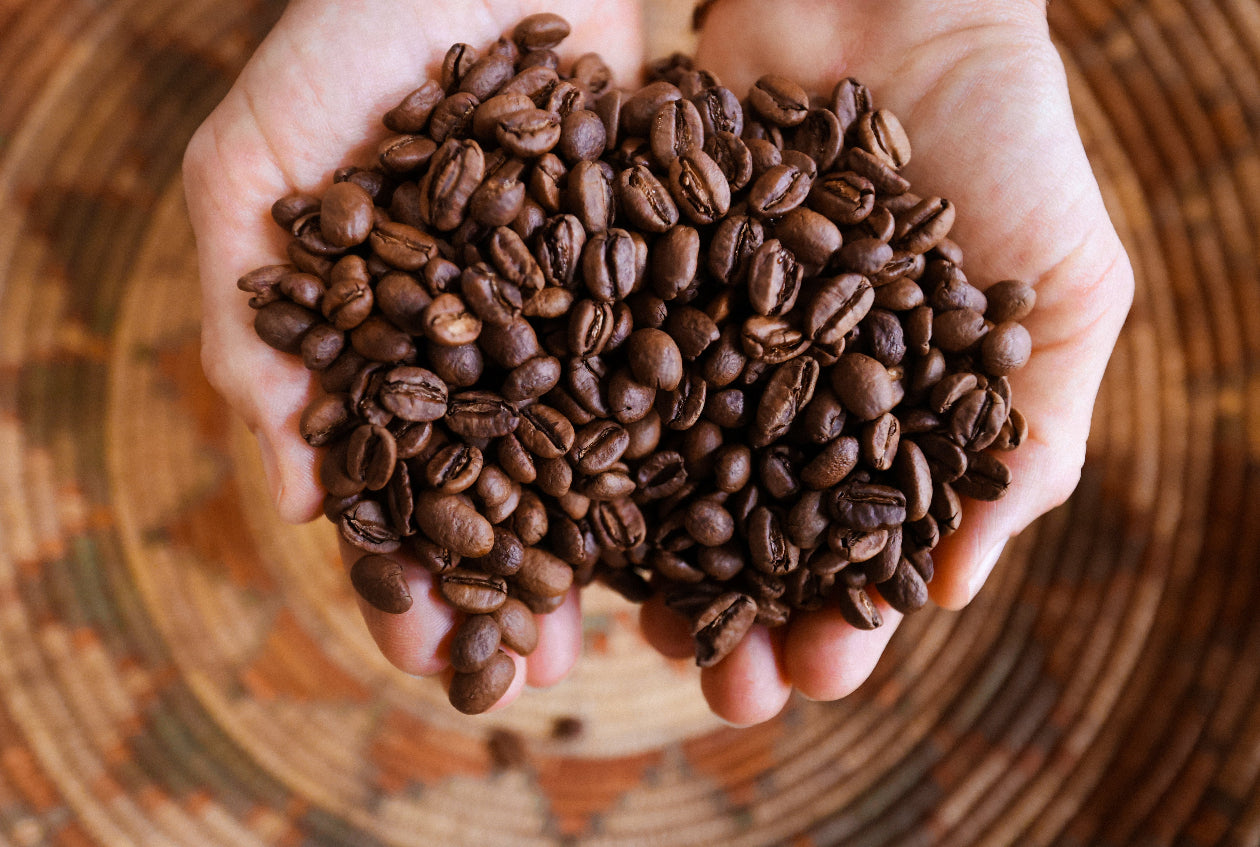 hands holding roasted beans over basket