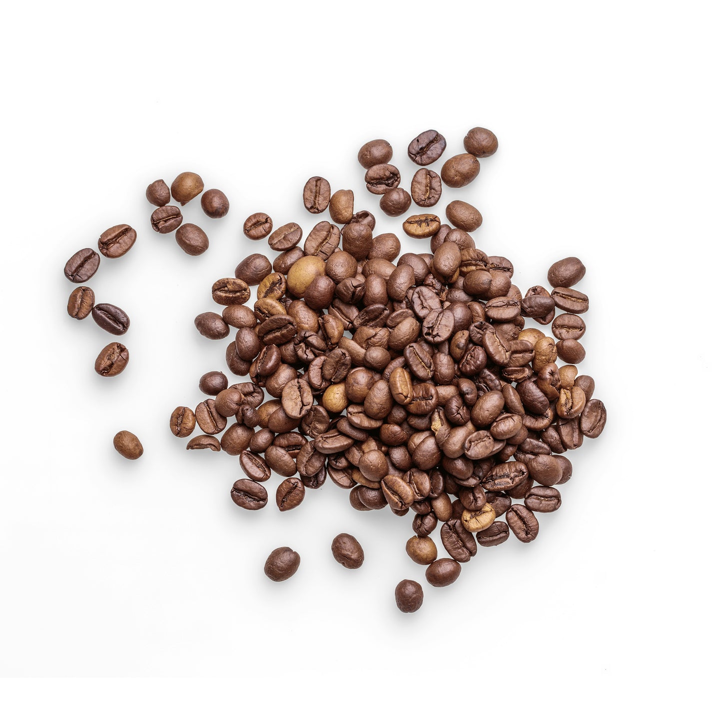Organic Bolivia APROCAFE – Whole Bean Coffee
